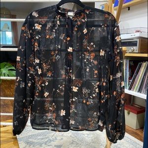 Sheer Long Sleeve Blouse